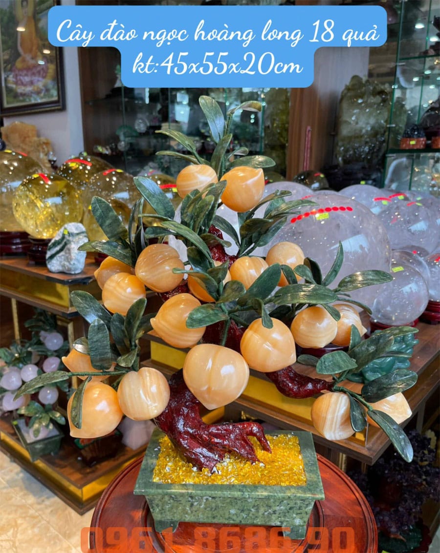 Cây đào đá ngọc hoàng long 18 quả