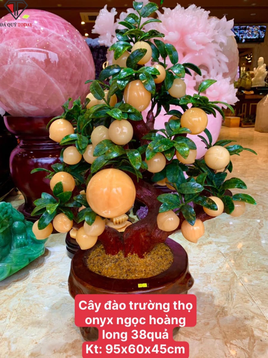 Cây đào đá ngọc hoàng long 38 quả