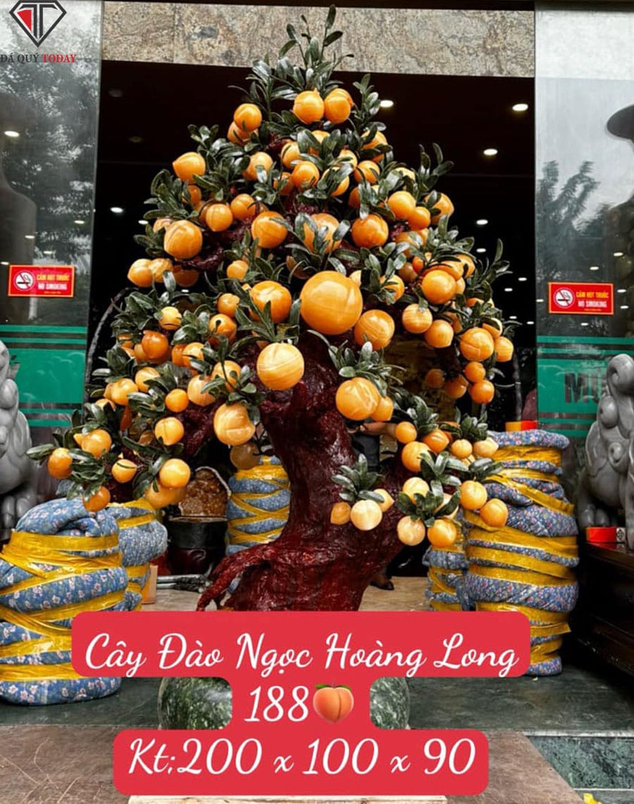 Cây đào đá ngọc hoàng long 188 quả