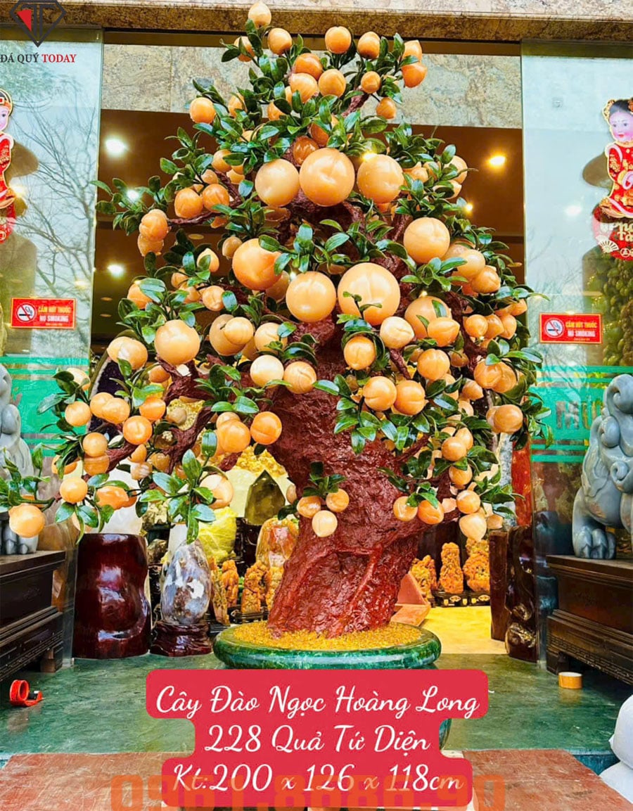 Cây đào đá ngọc hoàng long 228 quả