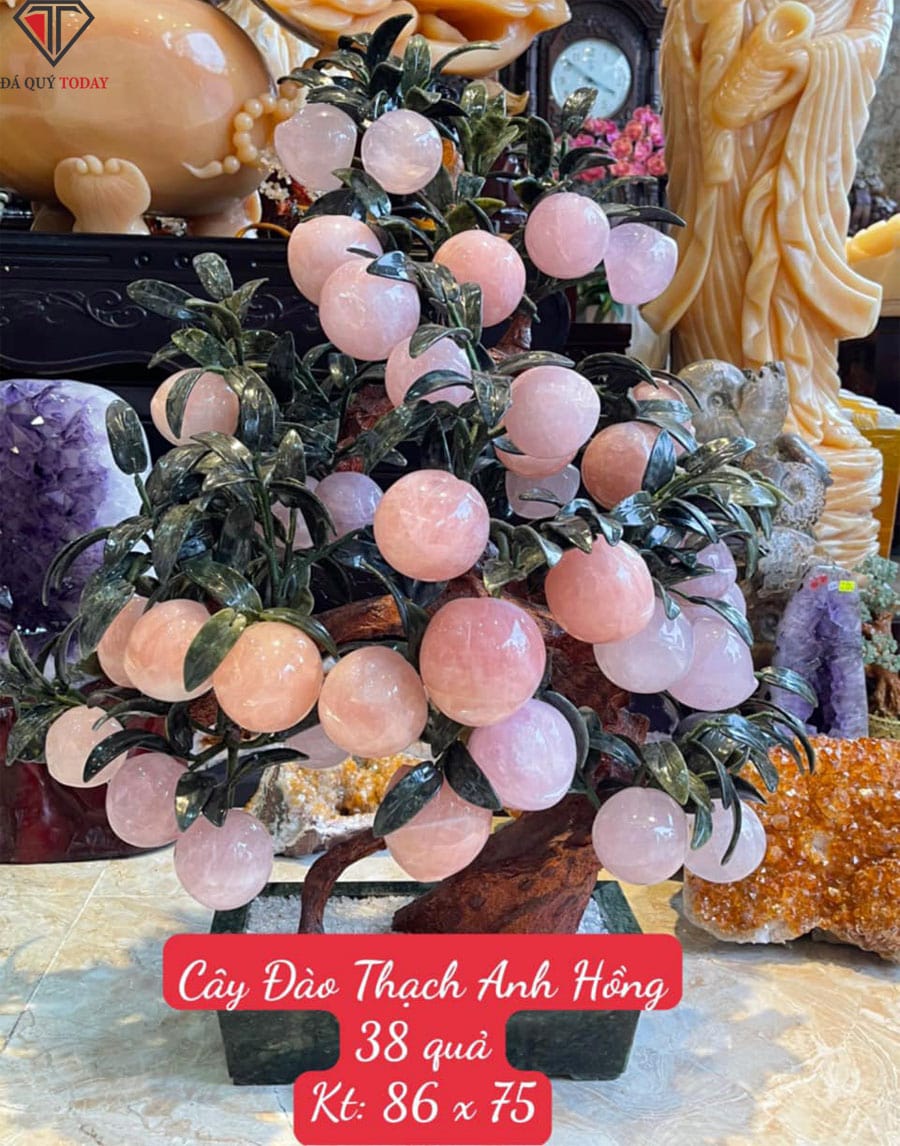 Cây đào đá thạch anh hồng 38 quả